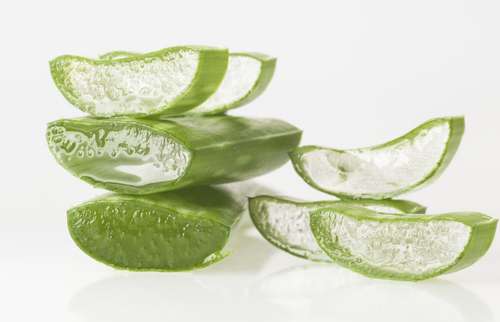 Shutterstock Shutterstock