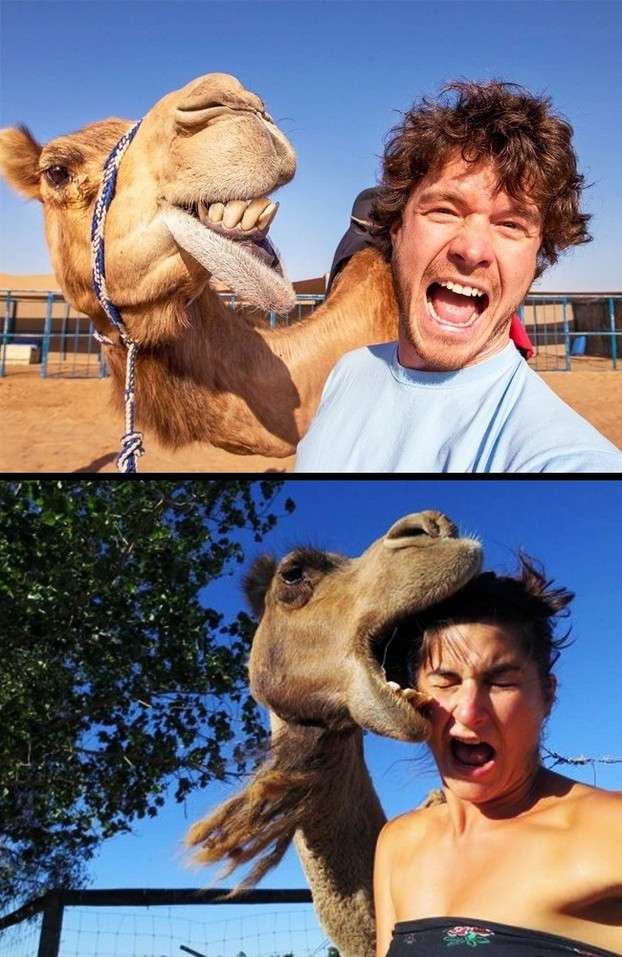 Parodi Pose Foto Pesohor 6