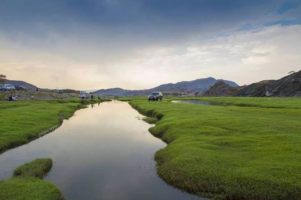 lembah saudi