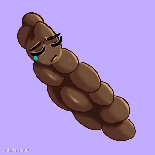 Kotoran