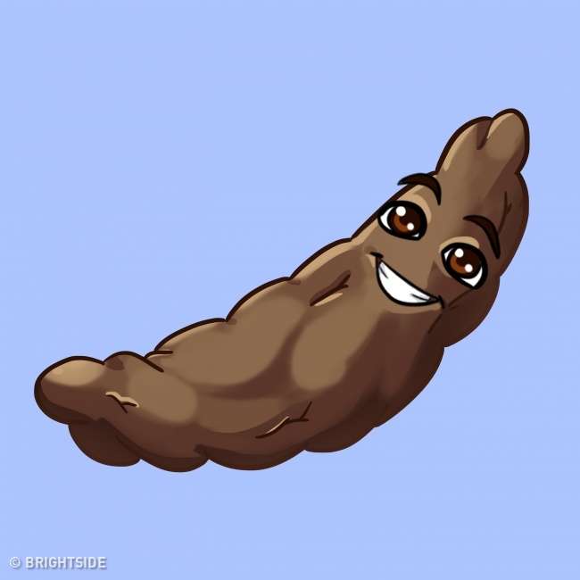 Kotoran