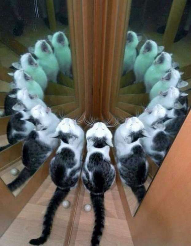 Foto Aneh Konyol dan Kocak 21