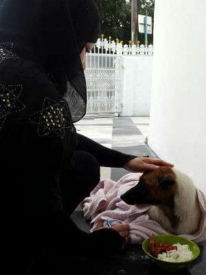 Muriati memberi makan anjing.