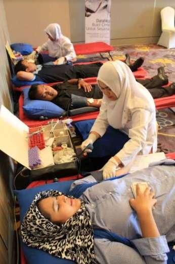 donor darah
