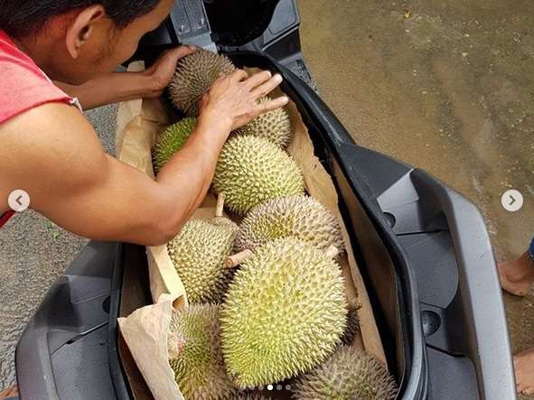 Penjual durian memasukkan buah durian ke bagasi X Max