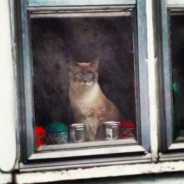 Foto Ini Menipu Mata 22