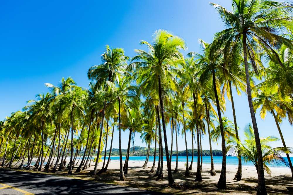 nicoya