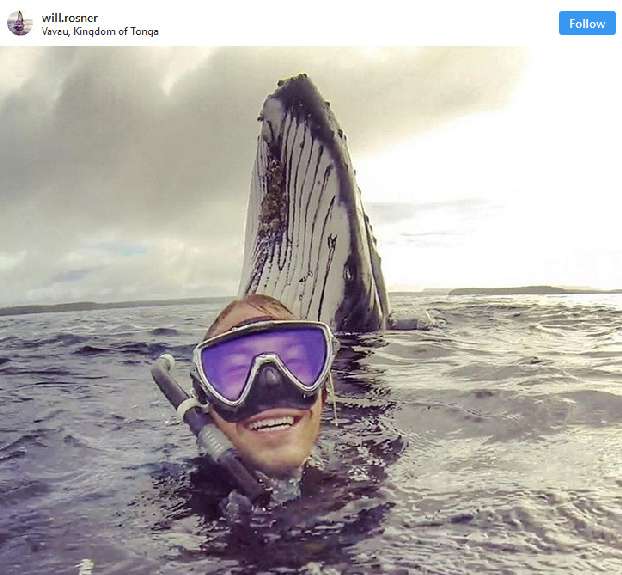 Photobomb Paling Mencuri Perhatian 17