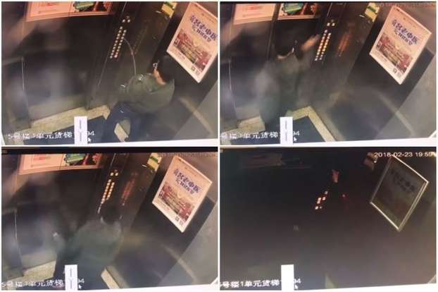 Bocah Jadi Korban Kejahilannya Sendiri Bocah Jadi Korban Kejahilannya Sendiri