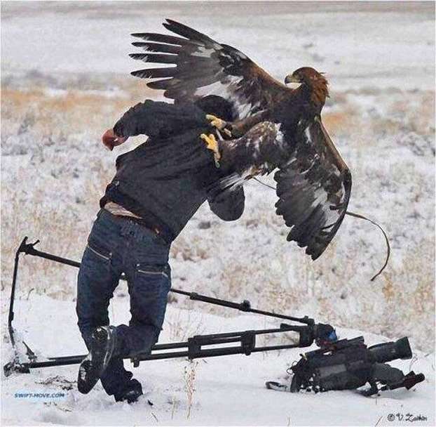 Foto Kocak Diambil Satu Detik Sebelumnya 17