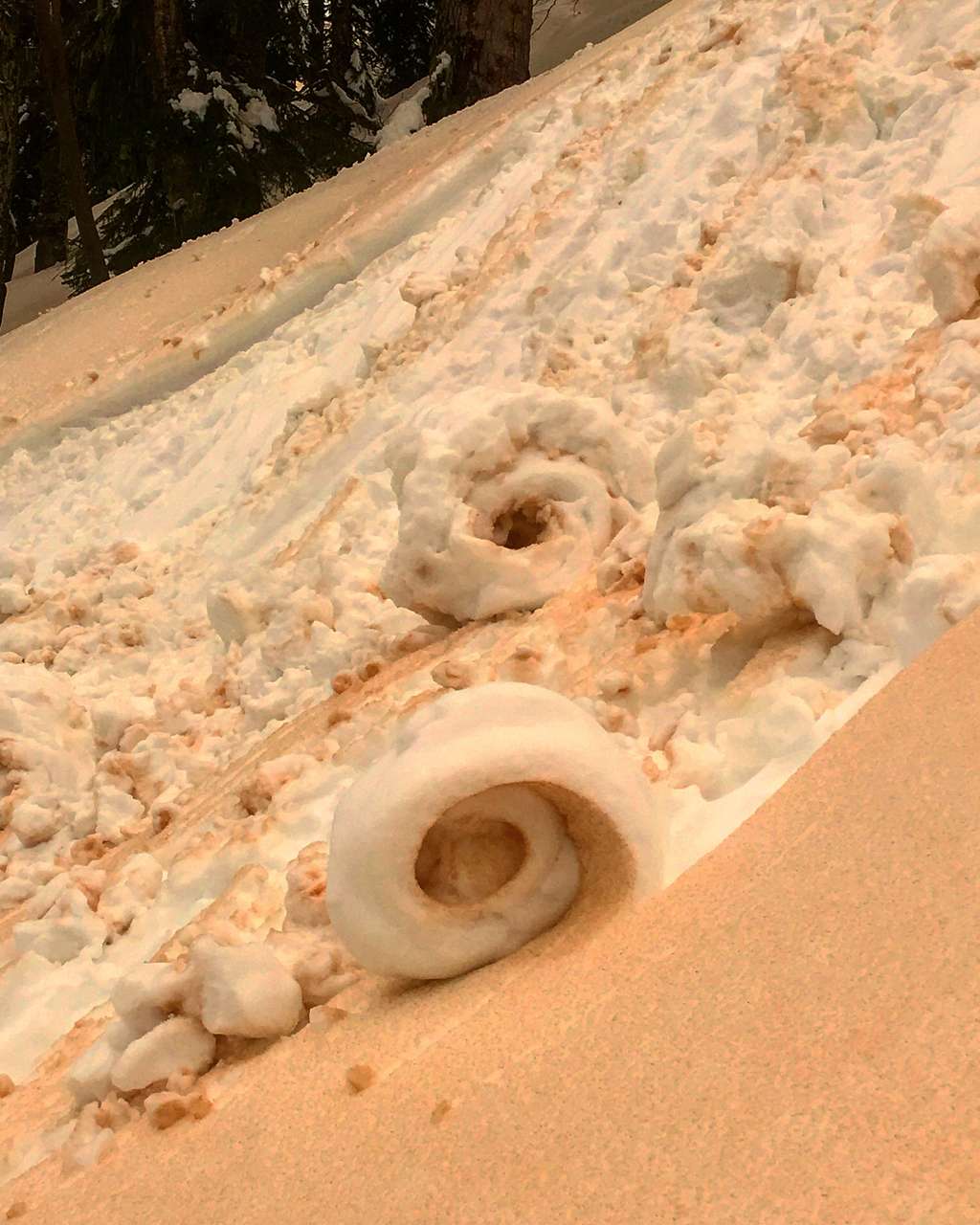 Salju Oranye