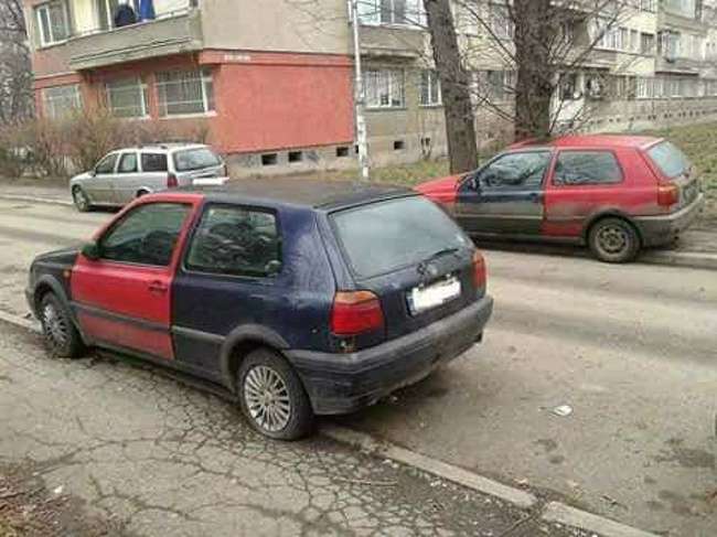Foto Unik