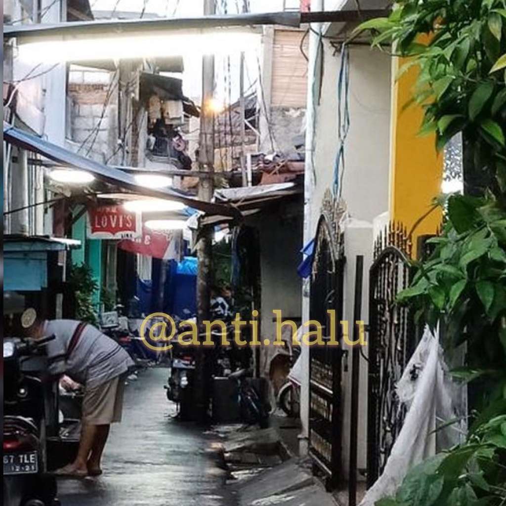 Instagram @anti.halu