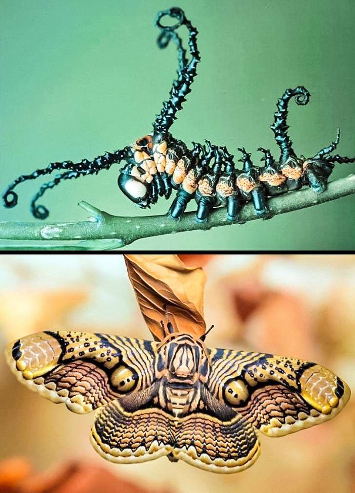 Foto Before-After Yang Bikin Tercengang