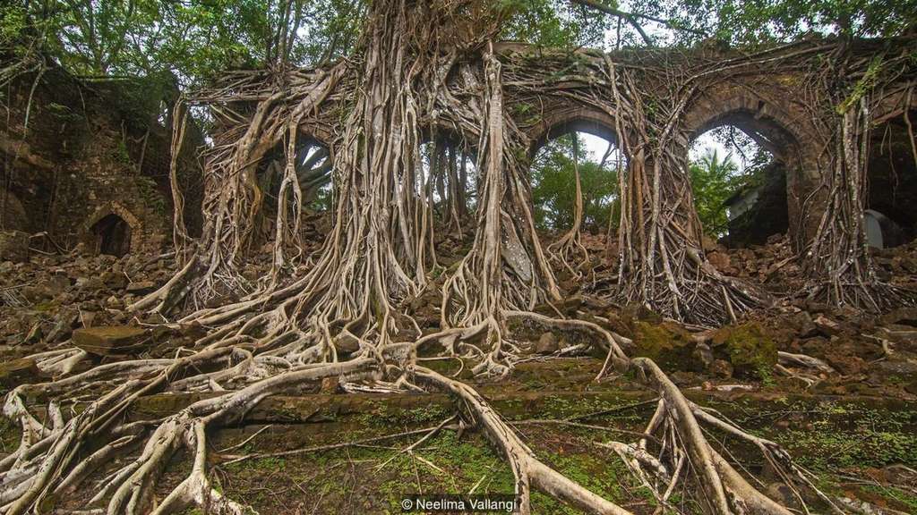 Pulau Hantu di India
