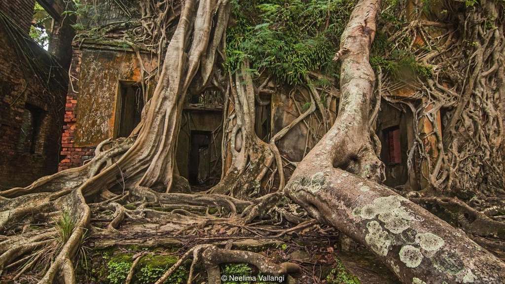 Pulau Hantu di India