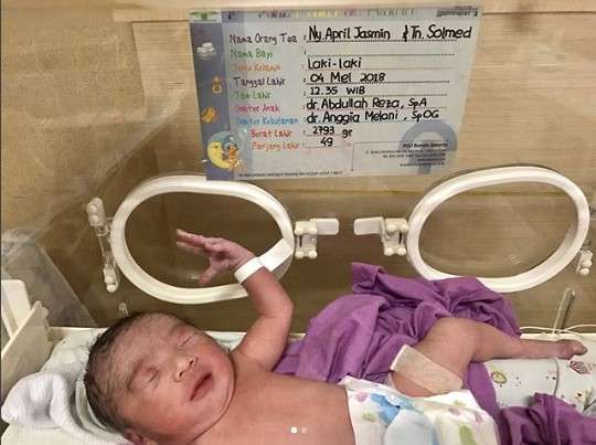 anak solmed dan april