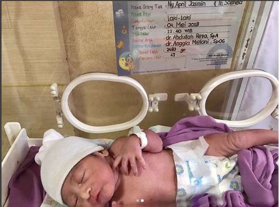 anak solmed dan april