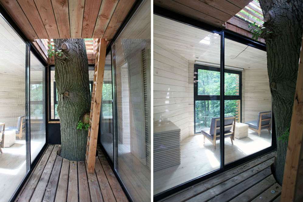 Rumah pohon Prancis Rumah pohon Prancis