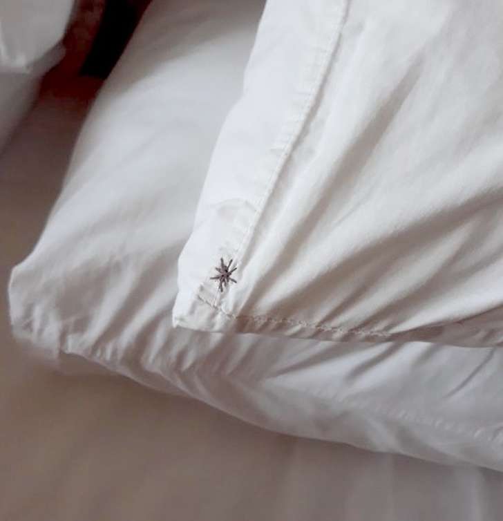 Hal Yang Membuat Tamu Hotel Bisa Kecewa