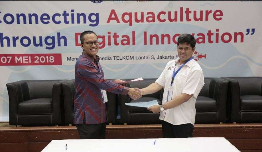 Digifish 2018
