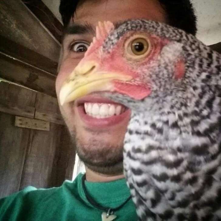 Foto Yang Menipu Mata