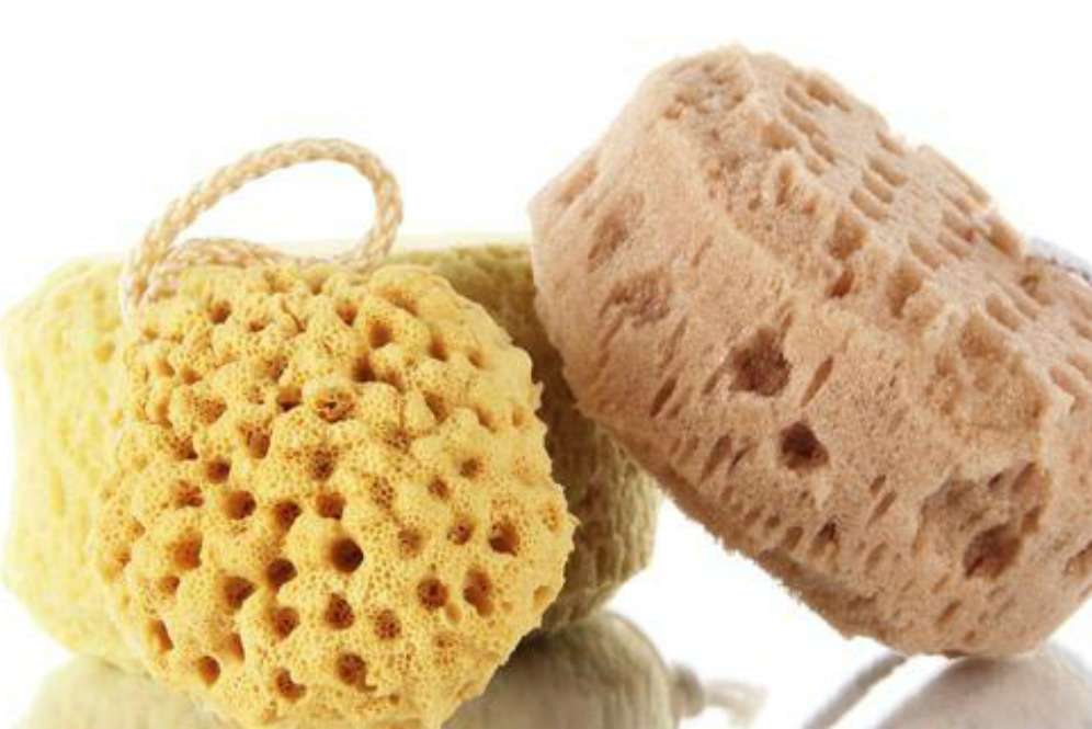 Loofah