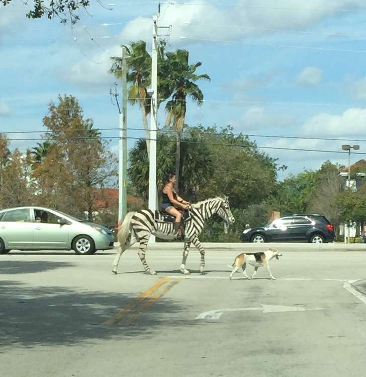 Dunia Itu Terkadang Aneh