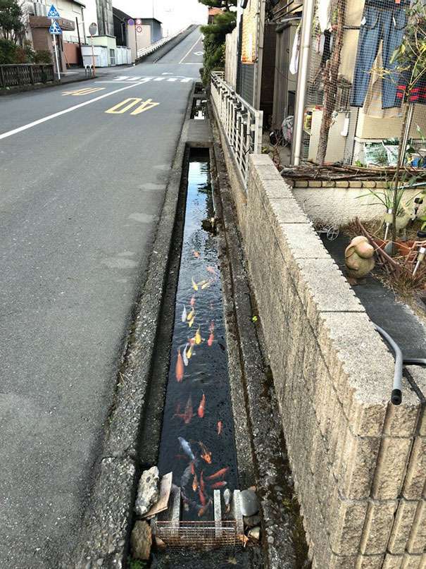Jepang