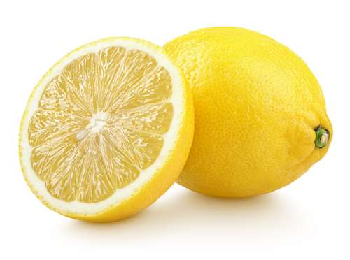 Shutterstock Shutterstock