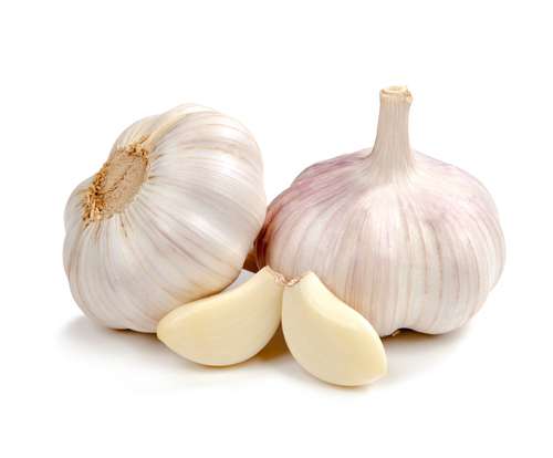 Shutterstock Shutterstock