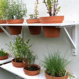 Pot Tanaman Pot Tanaman