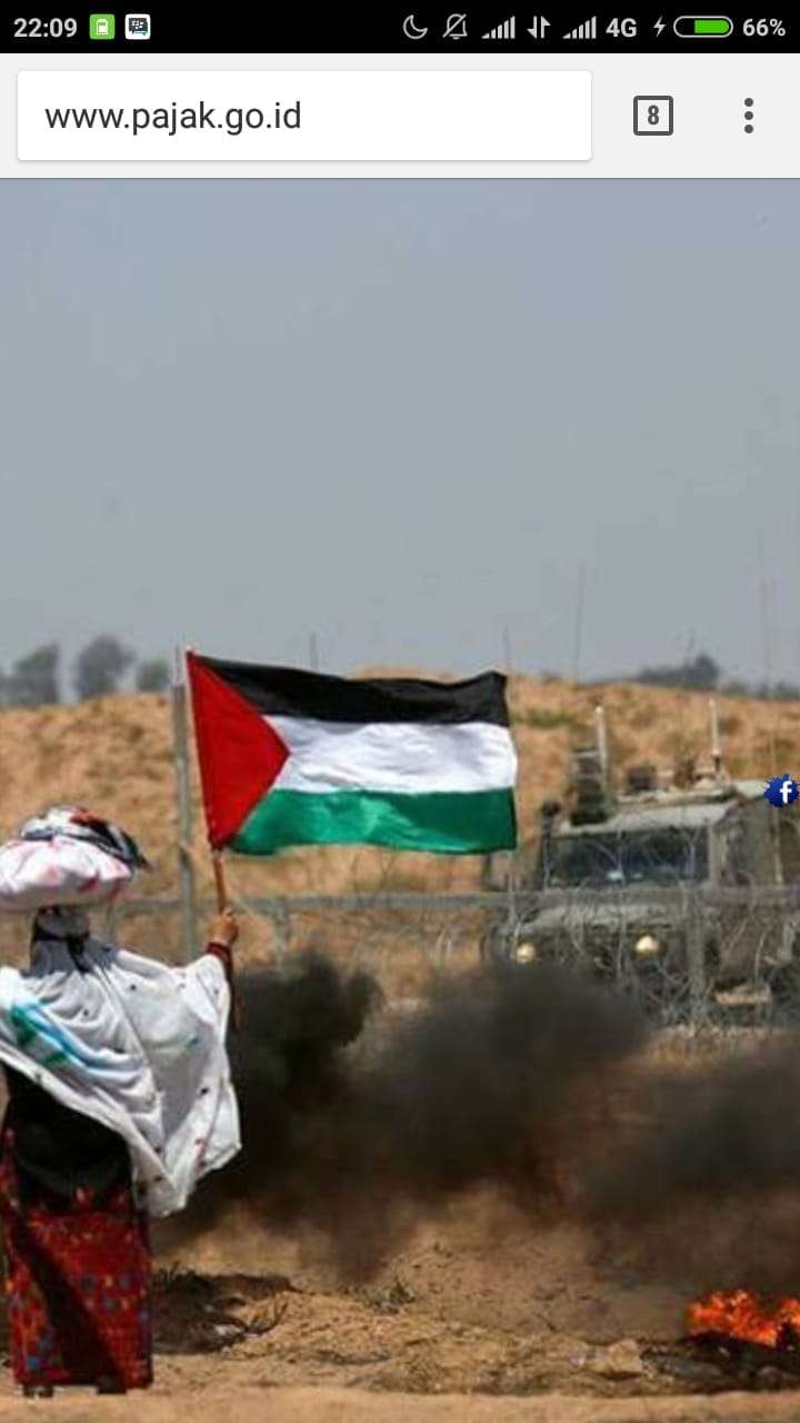 Tampilan muka laman situs Ditjen Pajak berubah jadi bendera Palestina.