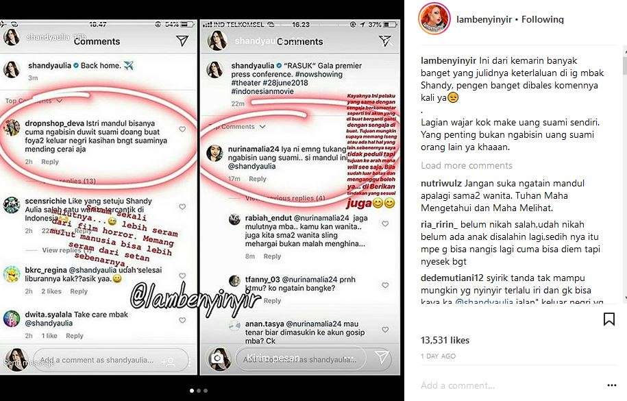 shandy aulia