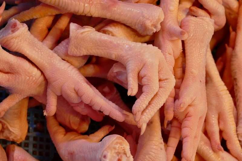 Ceker Ayam Ceker Ayam