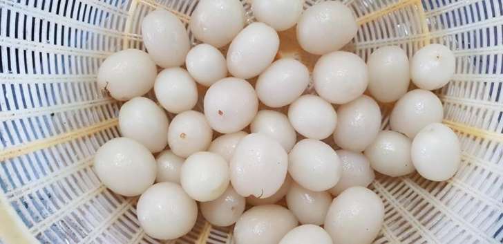 Rambutan Goreng