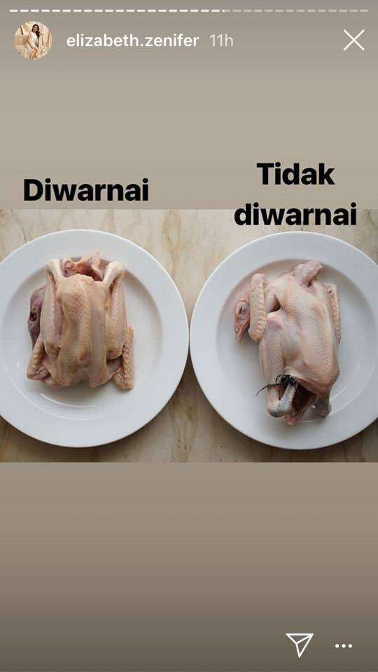 Ayam Berbahaya
