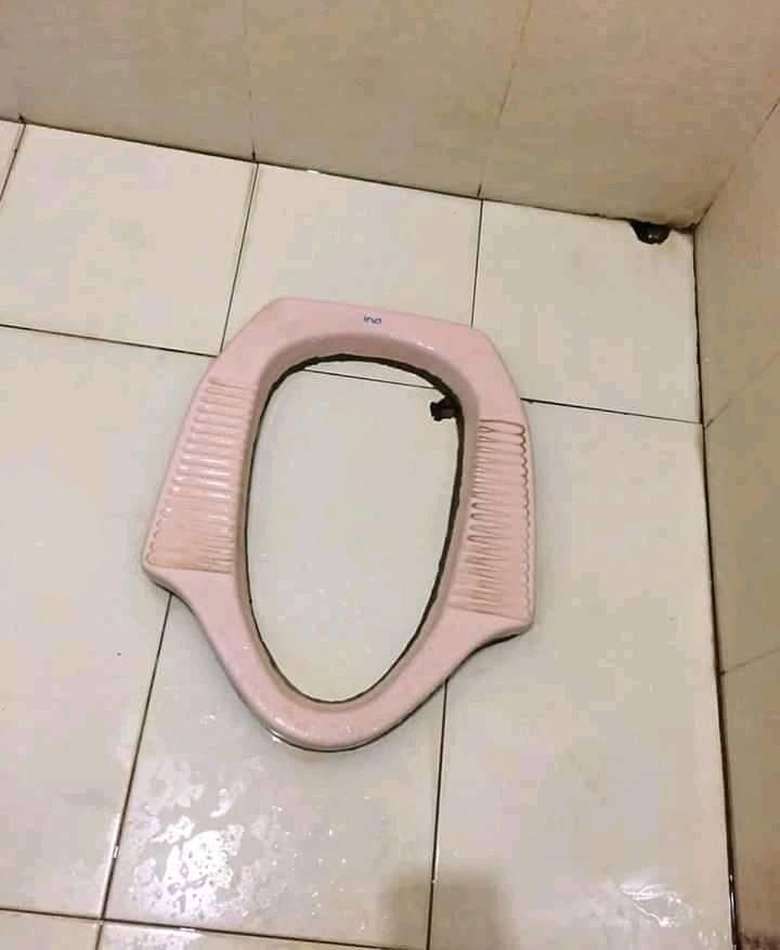 Toilet Unik Toilet Unik