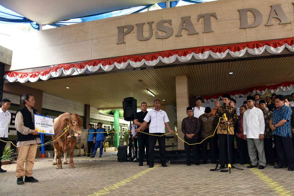 Jokowi berkurban sapi di PP Muhammadiyah Jokowi berkurban sapi di PP Muhammadiyah