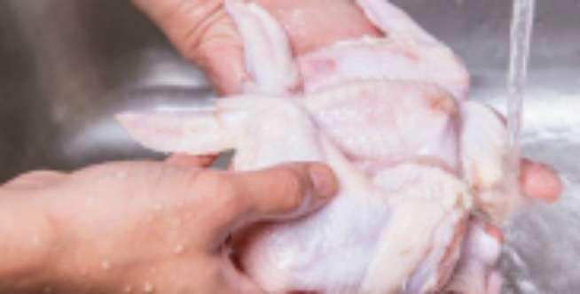 ayam ayam