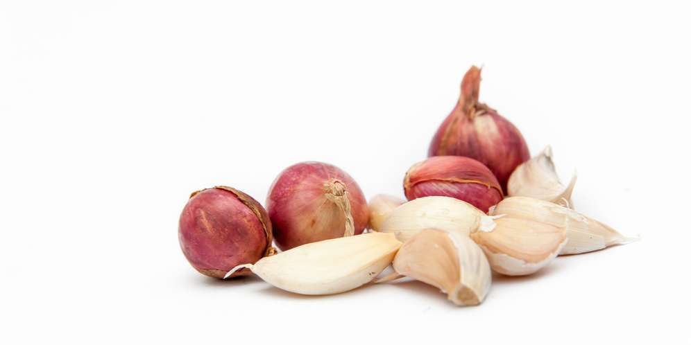 shutterstock