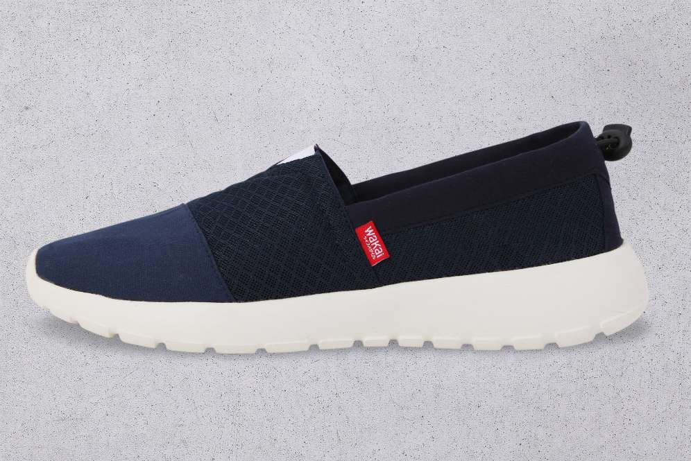 Wakai Seiryoku