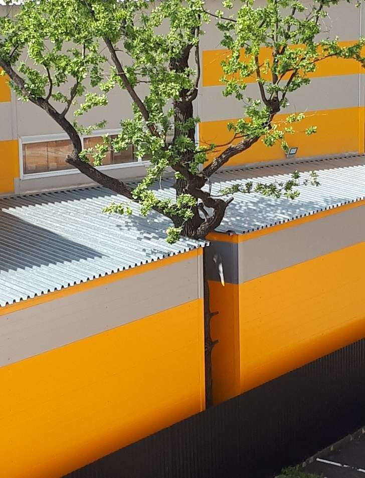 Kisah Inspiratif di Balik Sebuah Foto