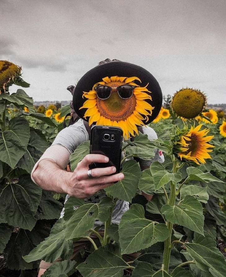 Pria Selfie Pria Selfie