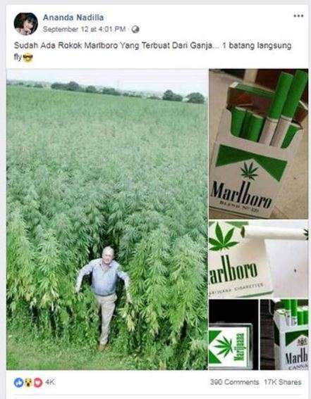 Rokok Ganja