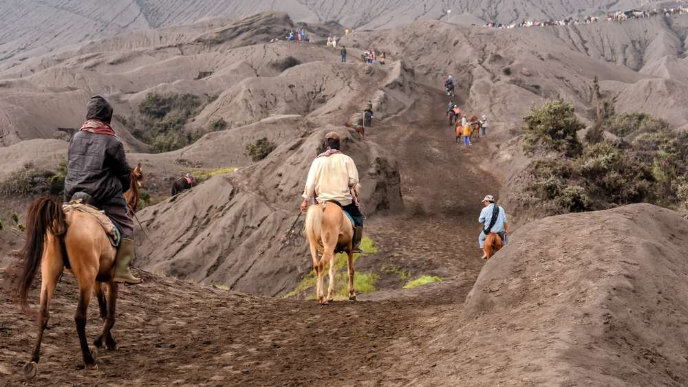 Bromo