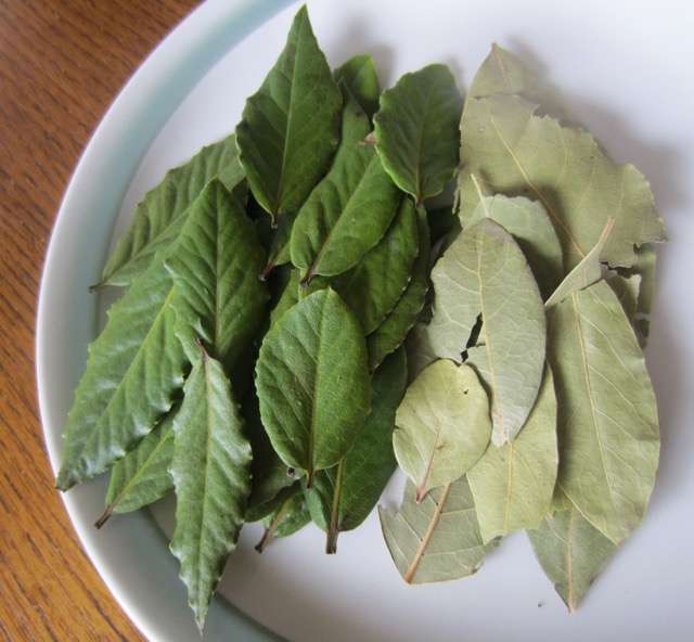 Manfaat daun salam kering