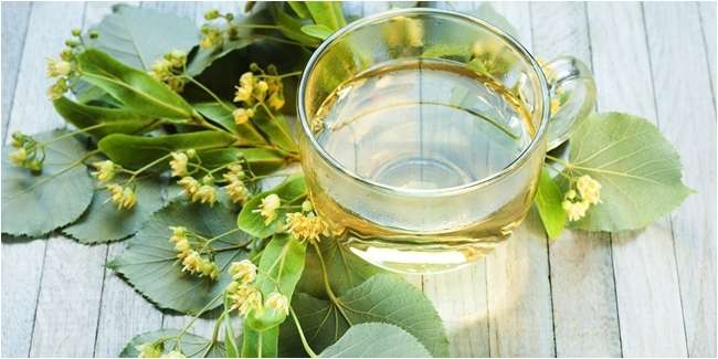 Manfaat daun salam untuk diet