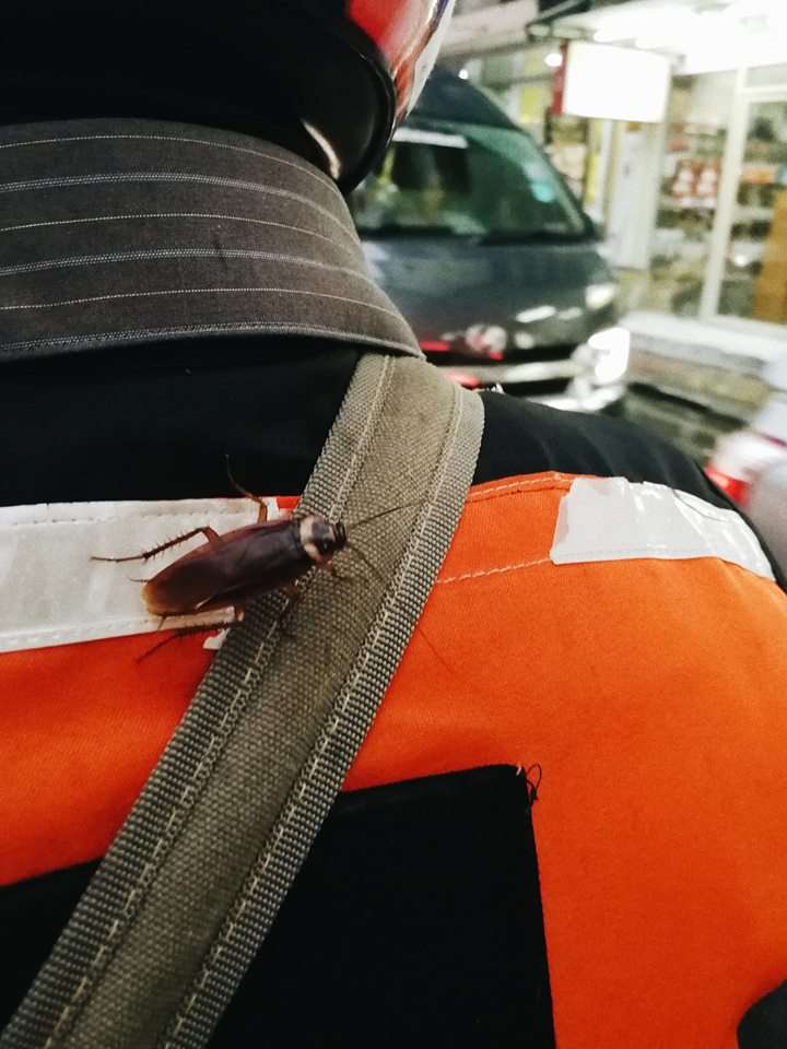 Lagi Diboceng, Si Cewek Syok Lihat Penampakan Menjijikkan di Jaket Ojol