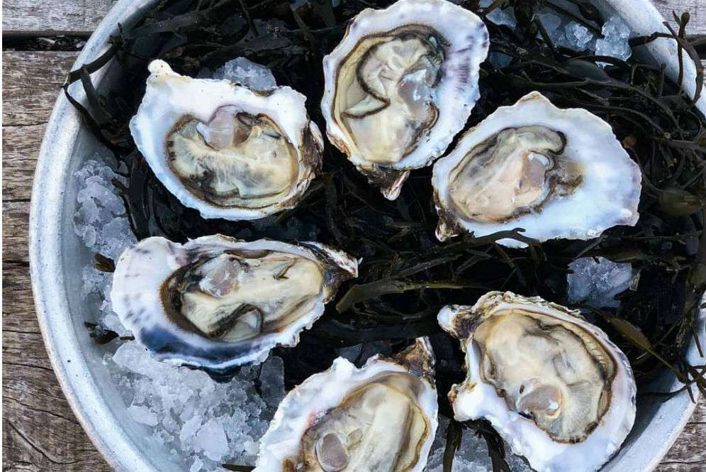 Kerang